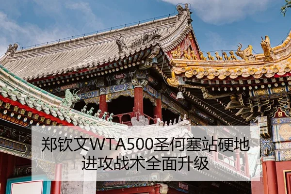 zheng-qin-wen-sheng-he-sai-zhan-ying-di-jin-gong-zhan-shu-quan-mian-sheng-ji-3-401.jpg