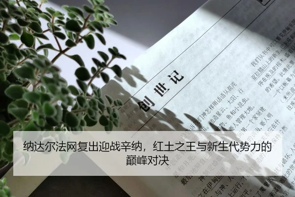 na-da-er-fa-wang-fu-chu-ying-zhan-xin-na-hong-tu-zhi-wang-yu-xin-sheng-dai-shi-li-de-dian-feng-dui-jue-2-794.jpg