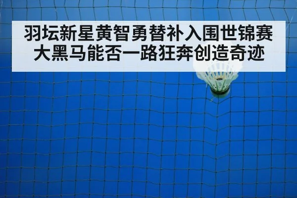 badminton court
